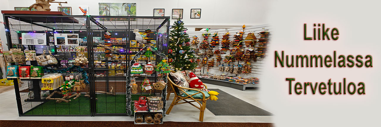 title_6935e9345bff89648164531765140788