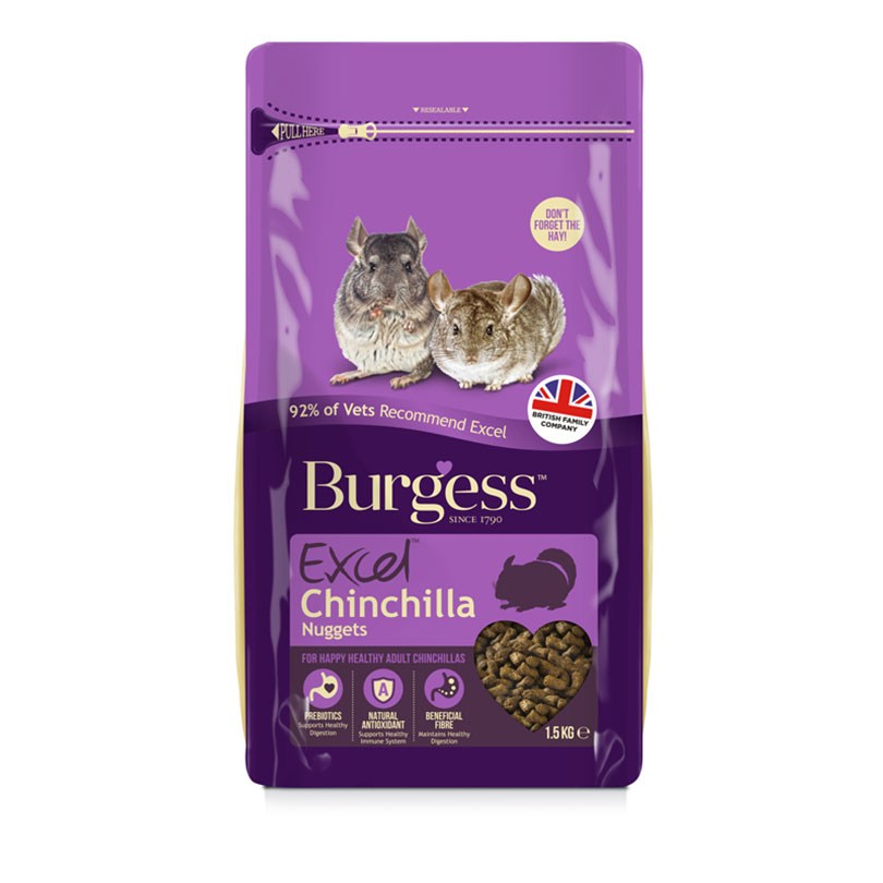 b_chinchilla